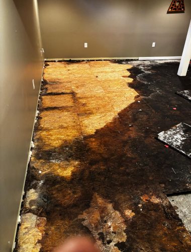 WhatsApp Image 2026-03-30 at 07.14.57 (1)